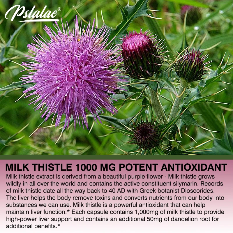 Natural Milk Thistle Supplemen – Milk Thistle Silymarin recenzja i cena