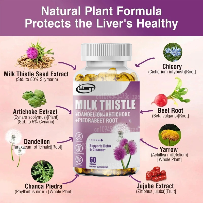Milk Thistle Supplement Contai – Milk Thistle Silymarin recenzja i cena
